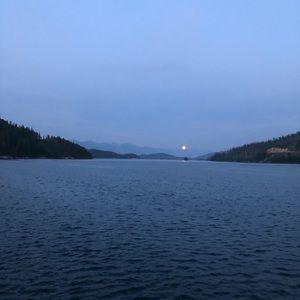 Meet your Posher, Kenny